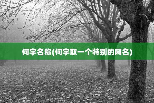 何字名称(何字取一个特别的网名)
