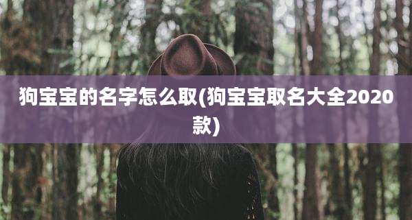 狗宝宝的名字怎么取(狗宝宝取名大全2020款)