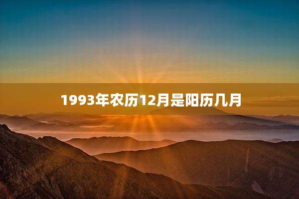 1993年农历12月是阳历几月