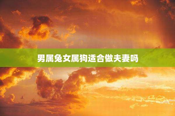 男属兔女属狗适合做夫妻吗