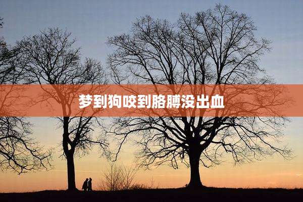梦到狗咬到胳膊没出血