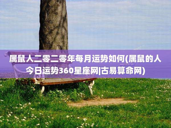 属鼠人二零二零年每月运势如何(属鼠的人今日运势360星座网|古易算命网)