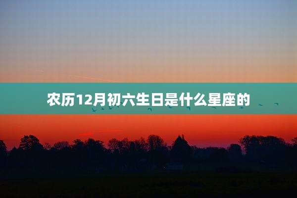 农历12月初六生日是什么星座的