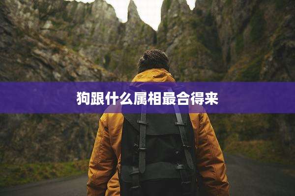 狗跟什么属相最合得来