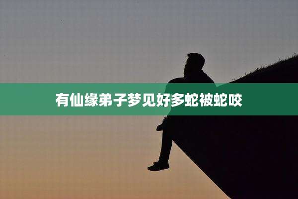 有仙缘弟子梦见好多蛇被蛇咬