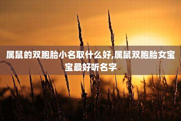 属鼠的双胞胎小名取什么好,属鼠双胞胎女宝宝最好听名字