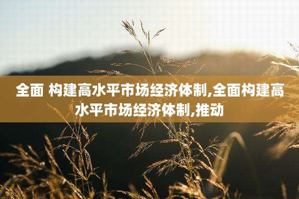 全面 构建高水平市场经济体制,全面构建高水平市场经济体制,推动