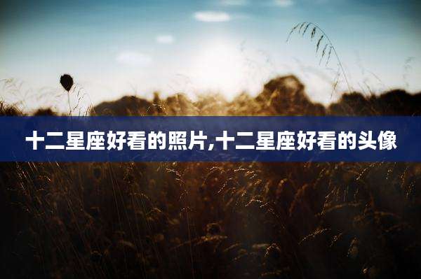 十二星座好看的照片,十二星座好看的头像