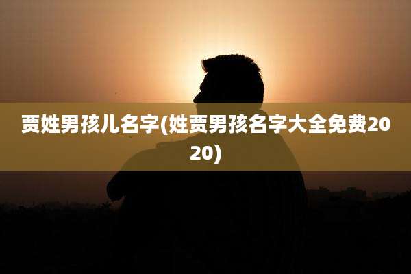 贾姓男孩儿名字(姓贾男孩名字大全免费2020)