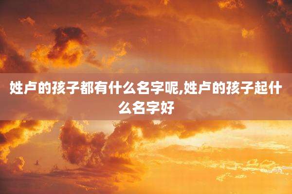 姓卢的孩子都有什么名字呢,姓卢的孩子起什么名字好