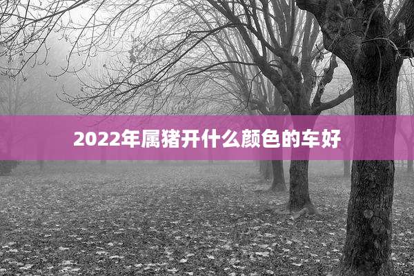 2022年属猪开什么颜色的车好