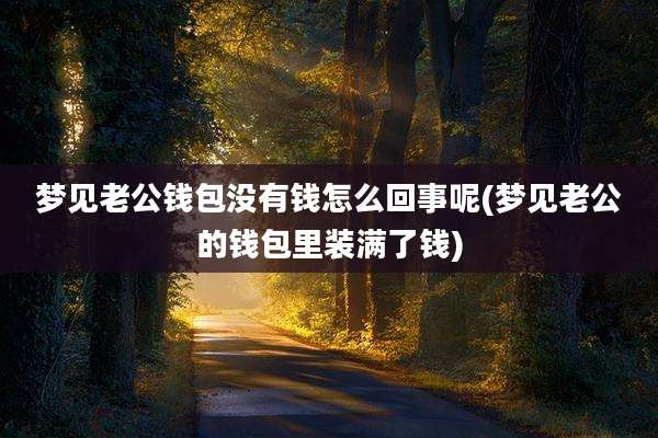 梦见老公钱包没有钱怎么回事呢(梦见老公的钱包里装满了钱)