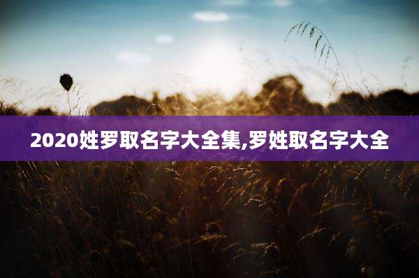 2020姓罗取名字大全集,罗姓取名字大全