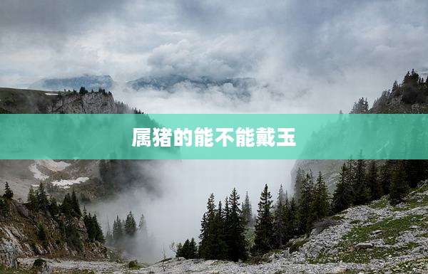属猪的能不能戴玉