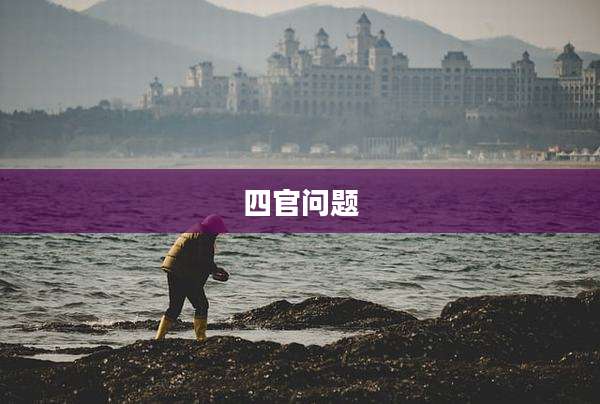 四官问题