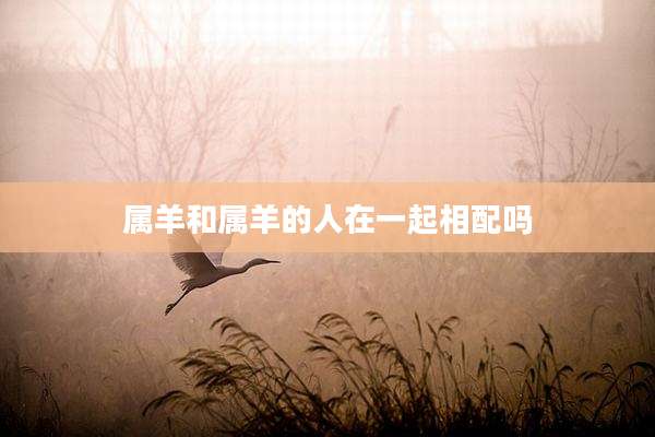 属羊和属羊的人在一起相配吗