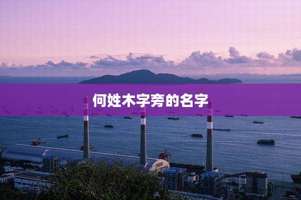 何姓木字旁的名字