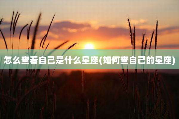 怎么查看自己是什么星座(如何查自己的星座)