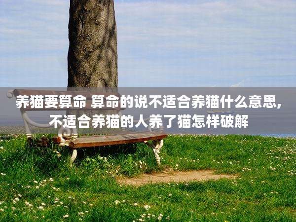 养猫要算命 算命的说不适合养猫什么意思,不适合养猫的人养了猫怎样破解
