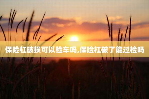 保险杠破损可以检车吗,保险杠破了能过检吗