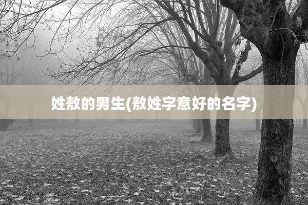姓敖的男生(敖姓字意好的名字)