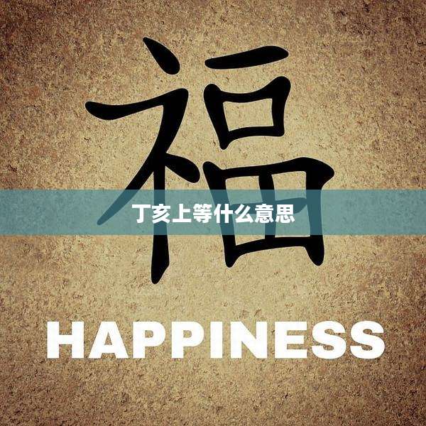 丁亥上等什么意思