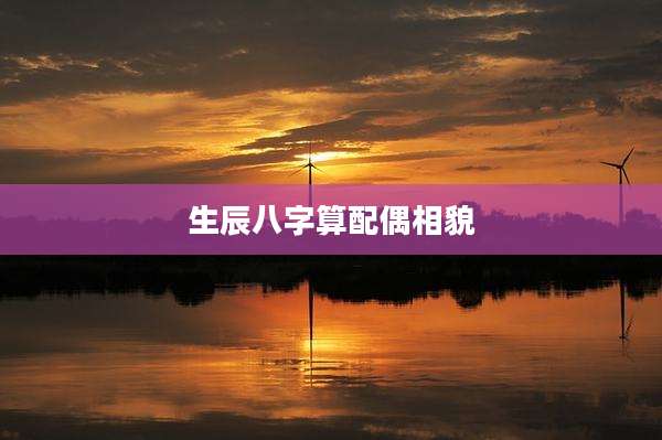 生辰八字算配偶相貌