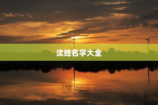 沈姓名字大全