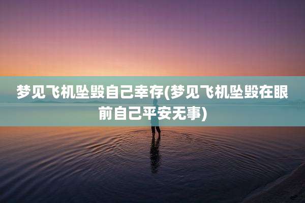 梦见飞机坠毁自己幸存(梦见飞机坠毁在眼前自己平安无事)