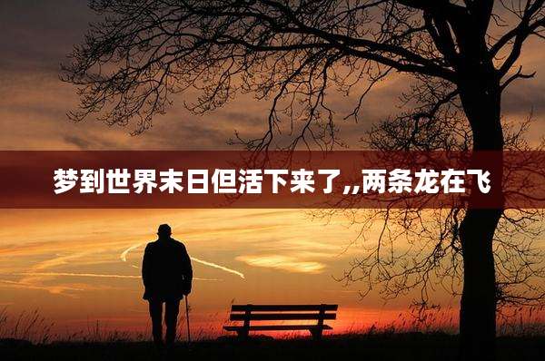 梦到世界末日但活下来了,,两条龙在飞