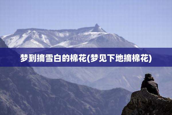梦到摘雪白的棉花(梦见下地摘棉花)