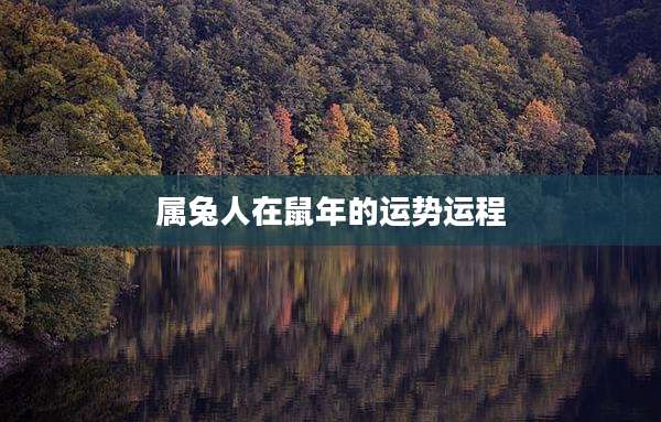 属兔人在鼠年的运势运程