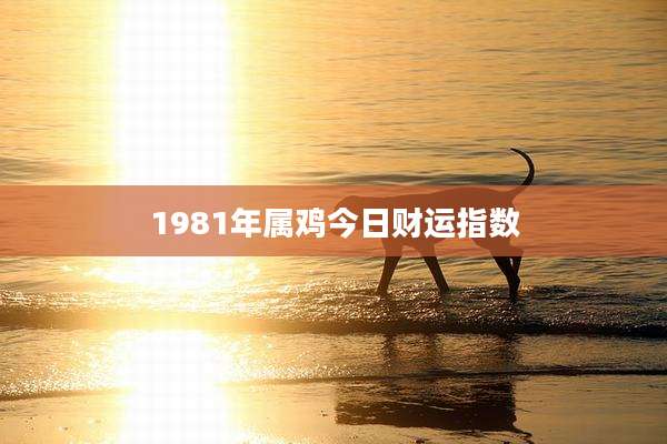 1981年属鸡今日财运指数