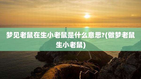 梦见老鼠在生小老鼠是什么意思?(做梦老鼠生小老鼠)