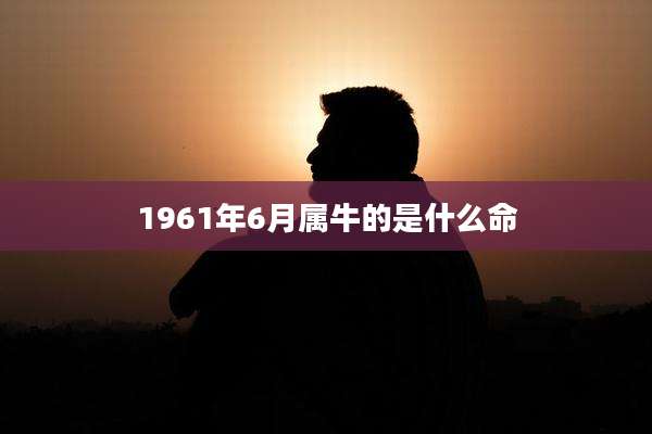 1961年6月属牛的是什么命