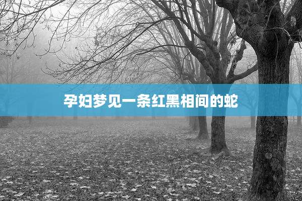 孕妇梦见一条红黑相间的蛇