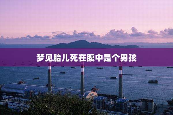 梦见胎儿死在腹中是个男孩