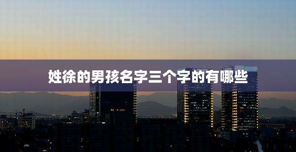 姓徐的男孩名字三个字的有哪些
