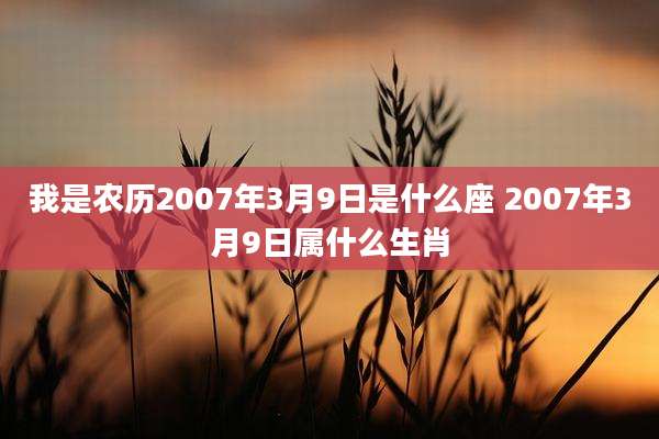 我是农历2007年3月9日是什么座 2007年3月9日属什么生肖