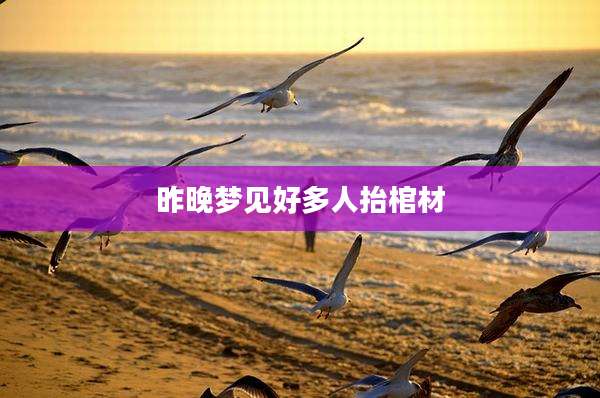 昨晚梦见好多人抬棺材