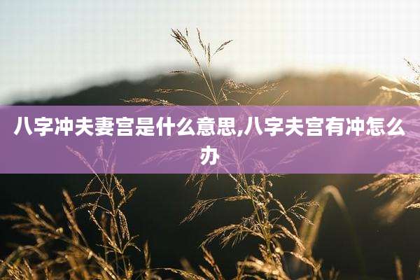 八字冲夫妻宫是什么意思,八字夫宫有冲怎么办