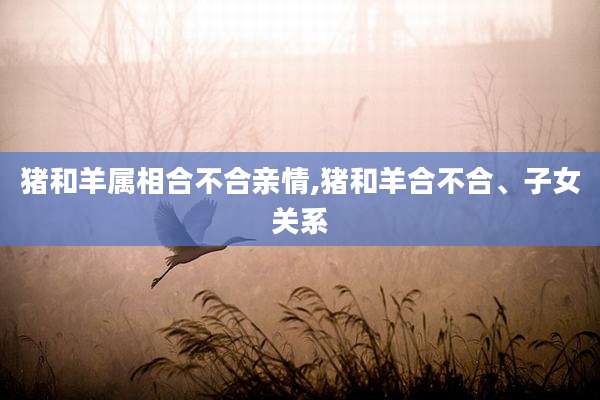 猪和羊属相合不合亲情,猪和羊合不合、子女关系