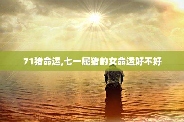 71猪命运,七一属猪的女命运好不好