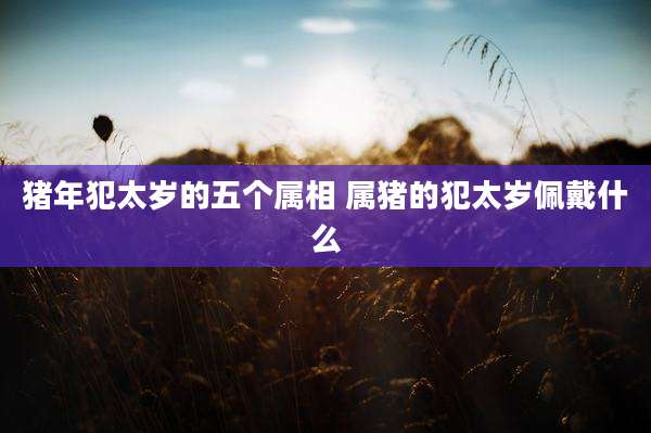 猪年犯太岁的五个属相 属猪的犯太岁佩戴什么
