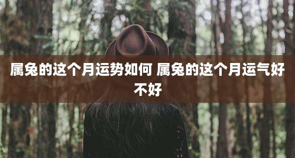 属兔的这个月运势如何 属兔的这个月运气好不好
