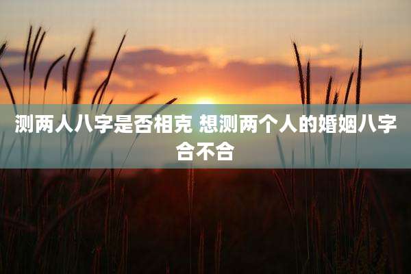 测两人八字是否相克 想测两个人的婚姻八字合不合