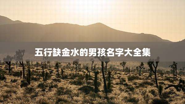 五行缺金水的男孩名字大全集
