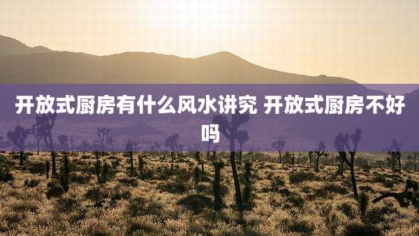 开放式厨房有什么风水讲究 开放式厨房不好吗