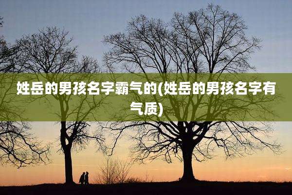 姓岳的男孩名字霸气的(姓岳的男孩名字有气质)