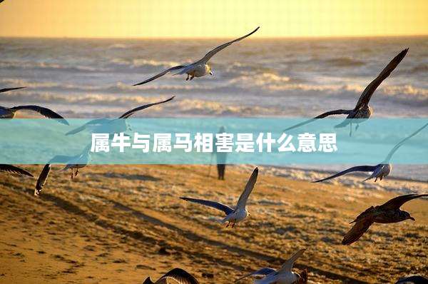 属牛与属马相害是什么意思